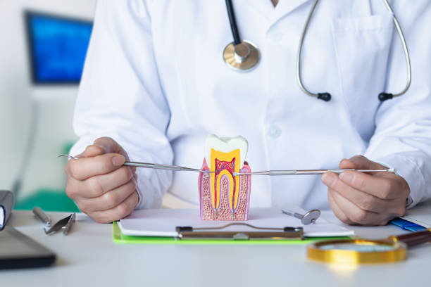 Best Emergency Dentist for Lost Fillings or Crowns in Garner, NC